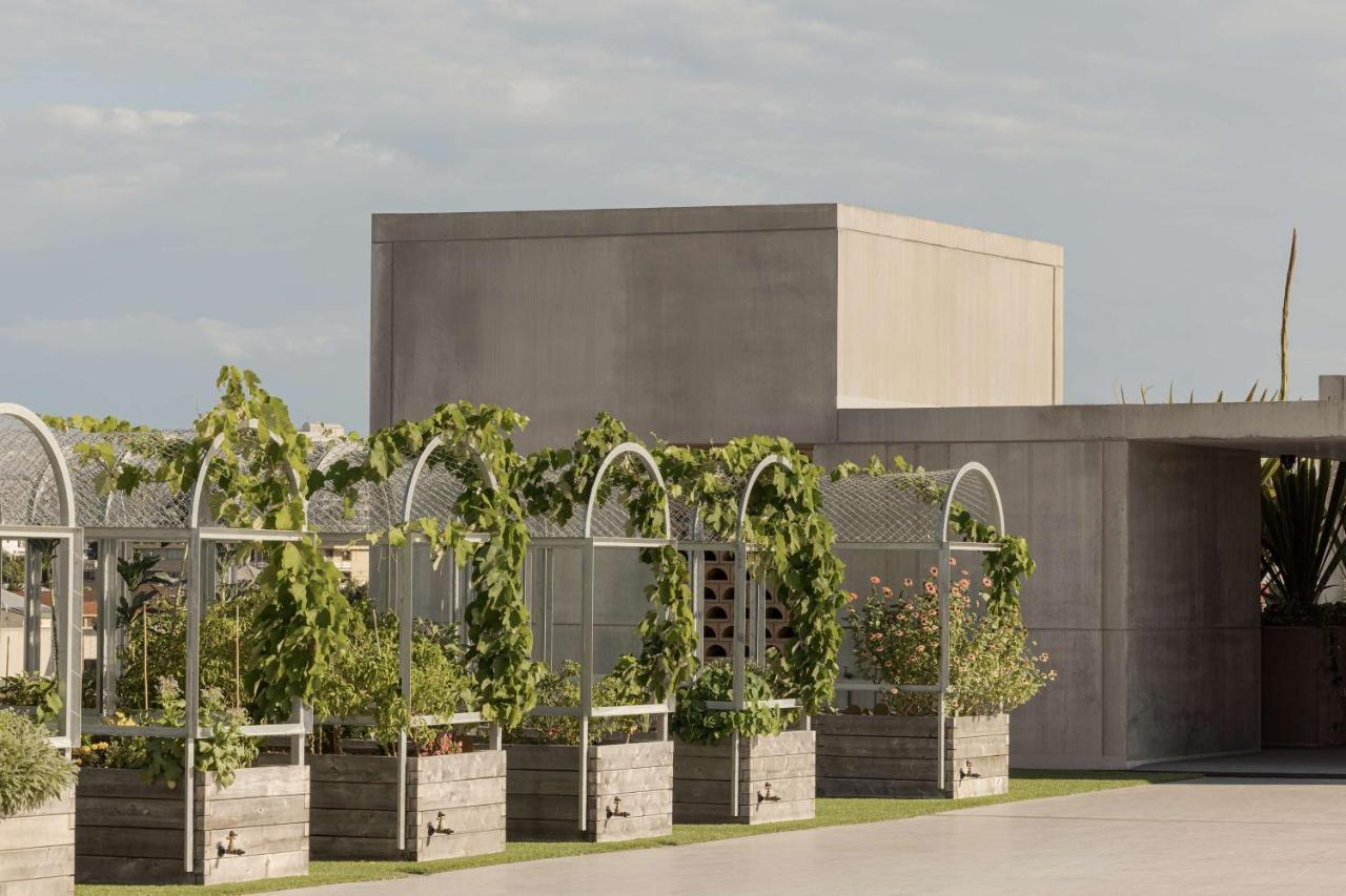 The Calile Hotel Brisbane Ngoại thất bức ảnh The winery at H.L. Stubb's vineyard